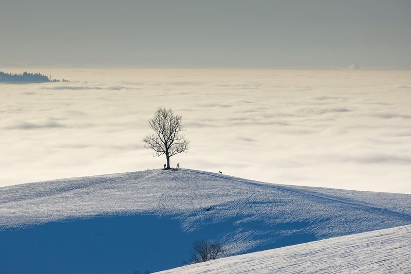 Hiking in nature
